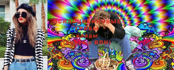 хмурый Горно-Алтайск