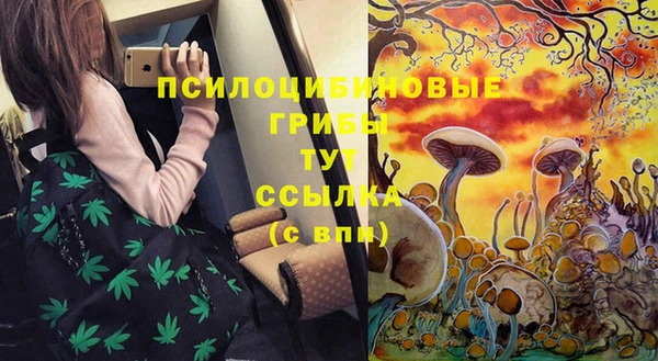 гашиш Усинск